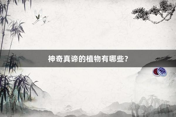 神奇真谛的植物有哪些？